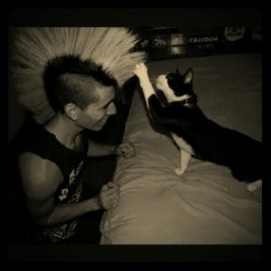 I loveee...Cats...🐺